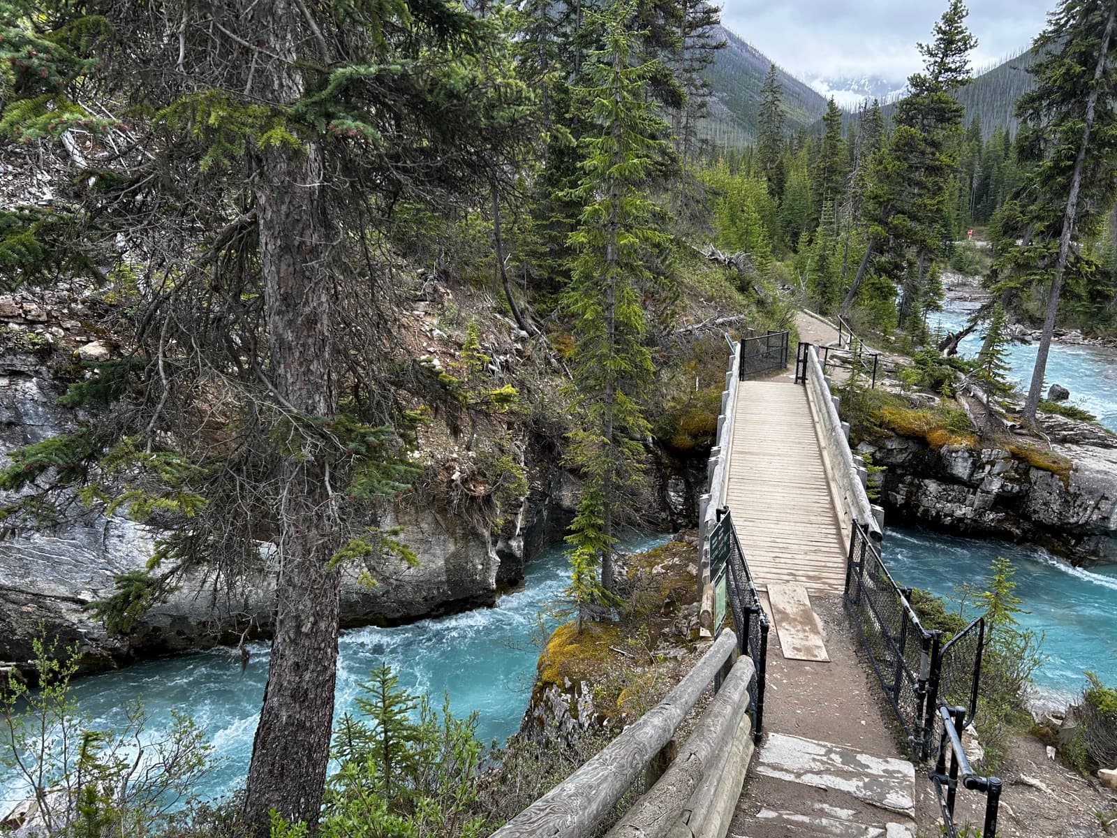 A wooden footbridge over a bright turquoise river cutting through a pine forest, mountains behind