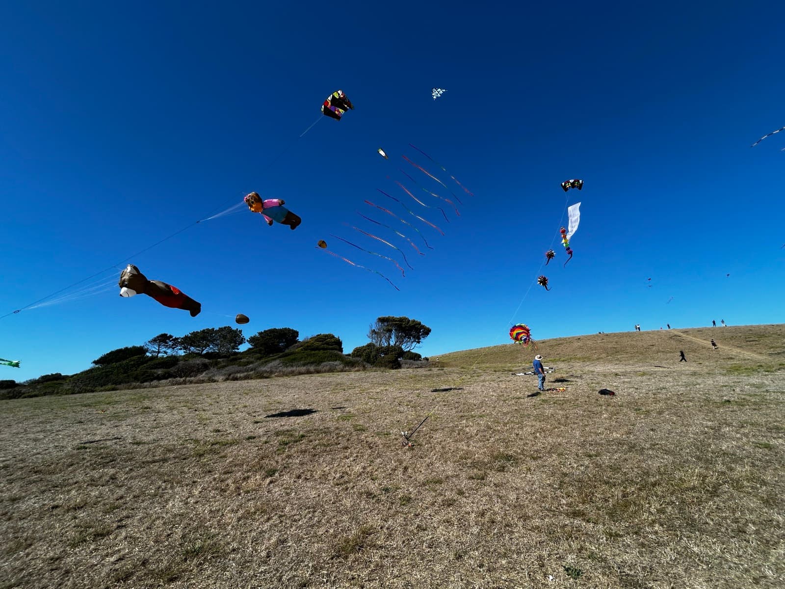 Dozens of kites flying over a golden grassy hill under a deep blue sky