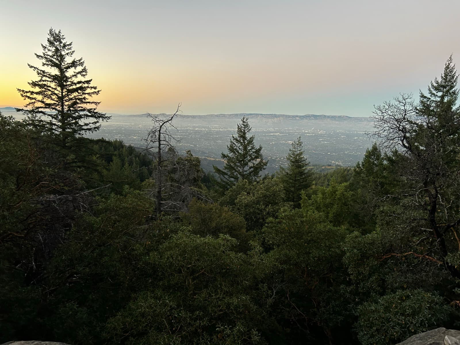 A view from a wooded ridge at dusk over the bay and the lights of the towns below